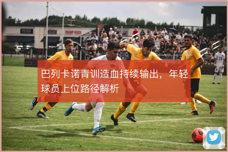 巴列卡诺青训造血持续输出,年轻球员上位路径解析